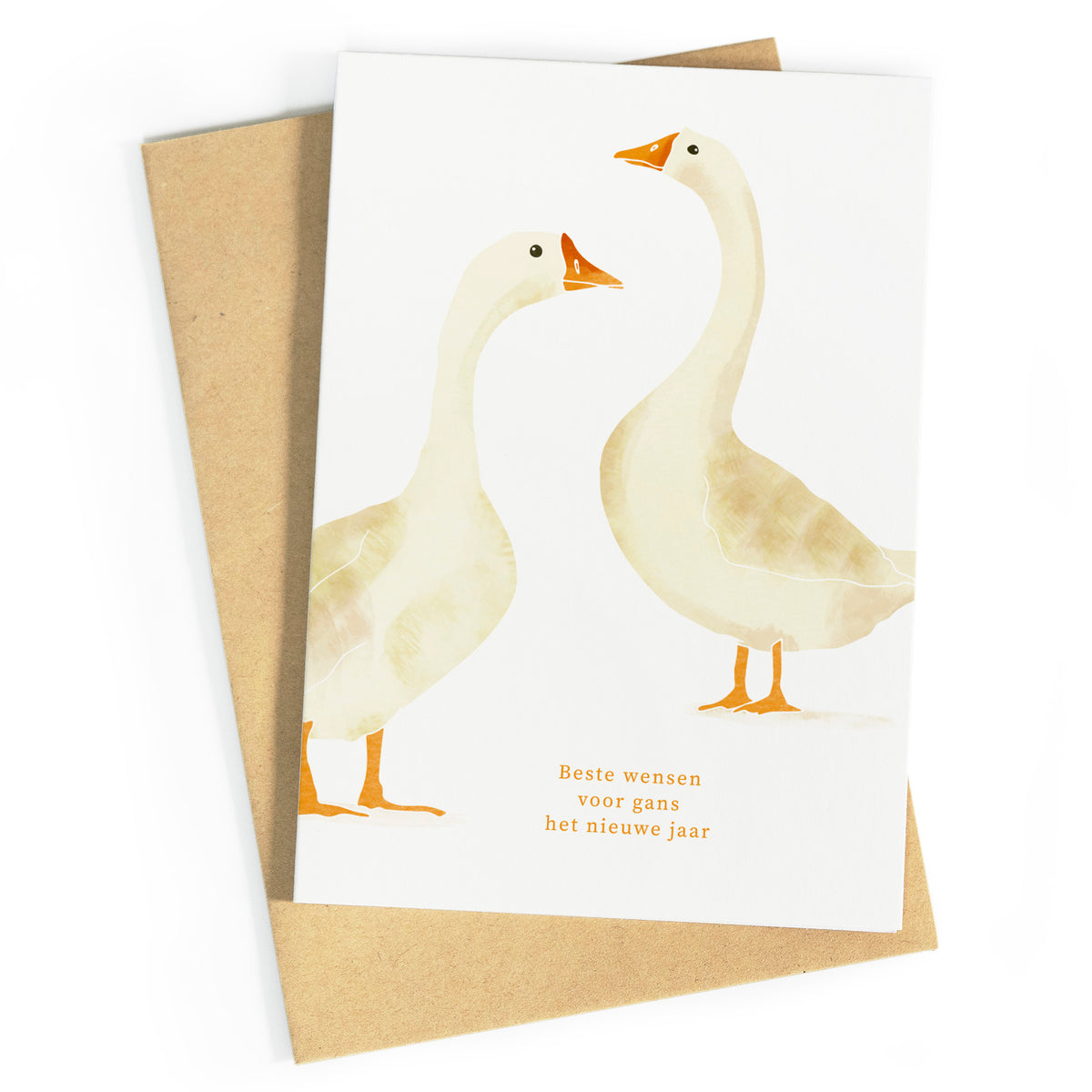 Besten wensen voor gans het nieuwe jaar